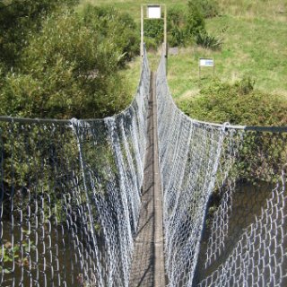 nz2017-2-099