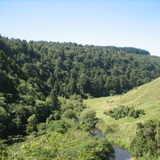 nz2017-2-103