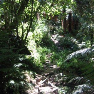 nz2017-2-104