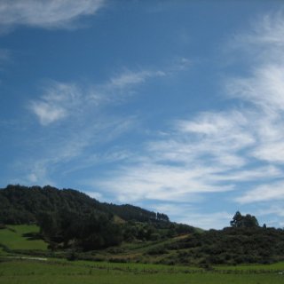 nz2017-2-113