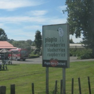 nz2017-2-116