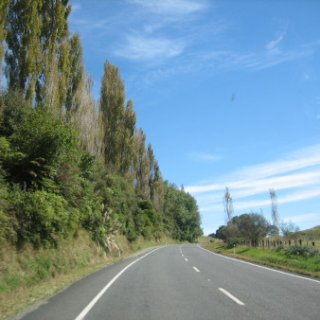 nz2017-2-121
