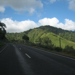 nz2017-2-138