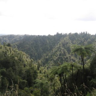 nz2017-2-141