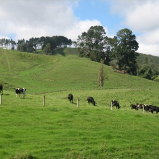 nz2017-2-142