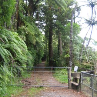 nz2017-2-173