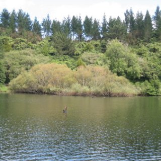 nz2017-2-176