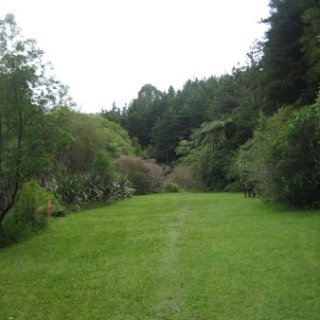 nz2017-2-177