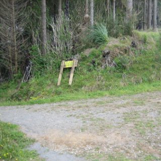 nz2017-2-188