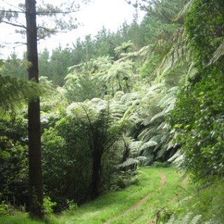 nz2017-2-190