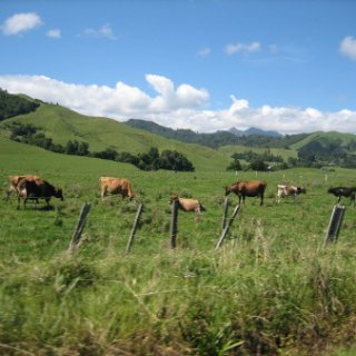 nz2017-2-214