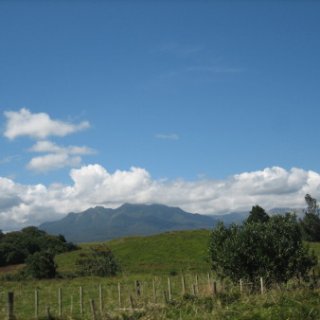 nz2017-2-215