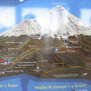 nz2017-2-223