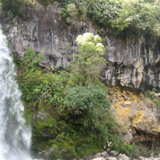 nz2017-2-235