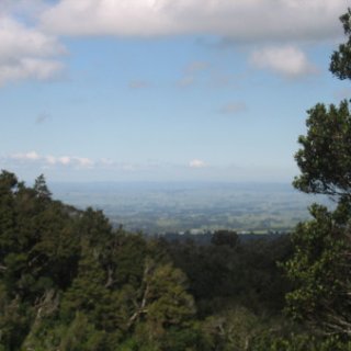 nz2017-2-238