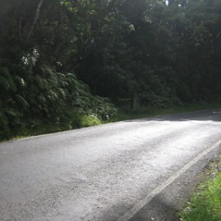 nz2017-2-240