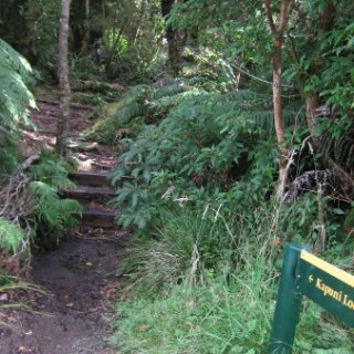 nz2017-2-241
