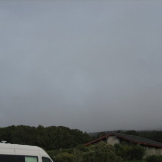 nz2017-2-258