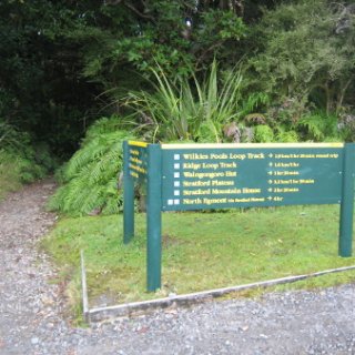 nz2017-2-263