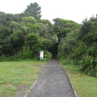 nz2017-2-265