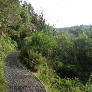 nz2017-2-269