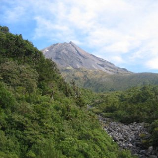 nz2017-2-270