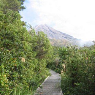nz2017-2-272