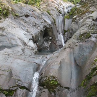 nz2017-2-275