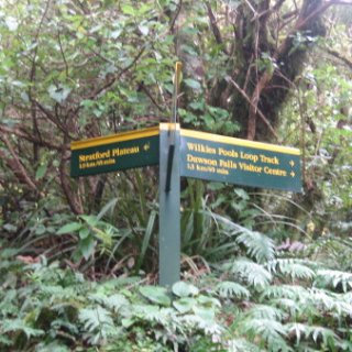 nz2017-2-277