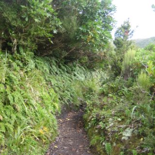 nz2017-2-279