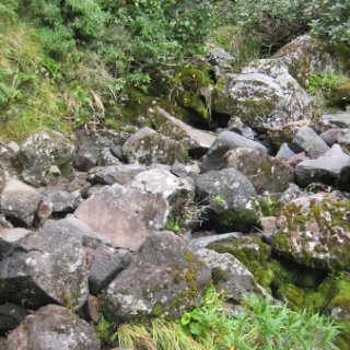 nz2017-2-280