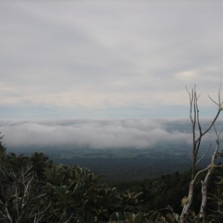 nz2017-2-282