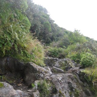 nz2017-2-283