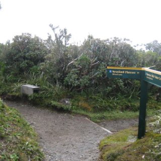 nz2017-2-284