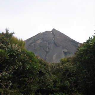 nz2017-2-285