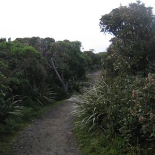 nz2017-2-287