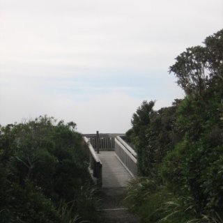 nz2017-2-288