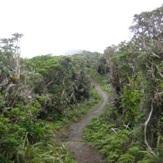 nz2017-2-292