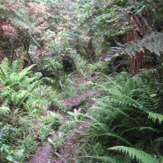 nz2017-2-297
