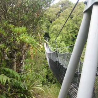 nz2017-2-299
