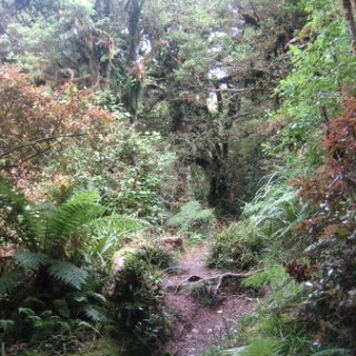 nz2017-2-301