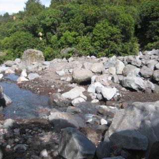 nz2017-2-305