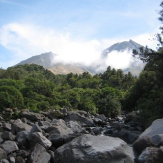 nz2017-2-307