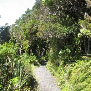 nz2017-2-313