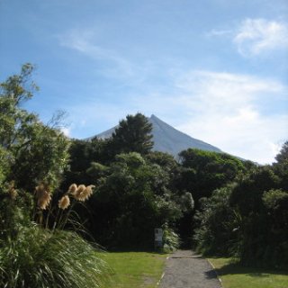 nz2017-2-315