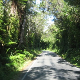 nz2017-2-320