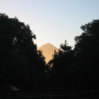 nz2017-2-333