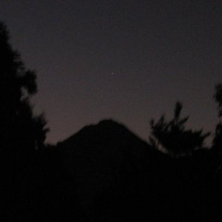 nz2017-2-334