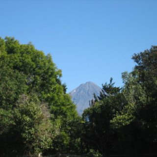 nz2017-2-335