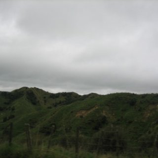 nz2017-2-342